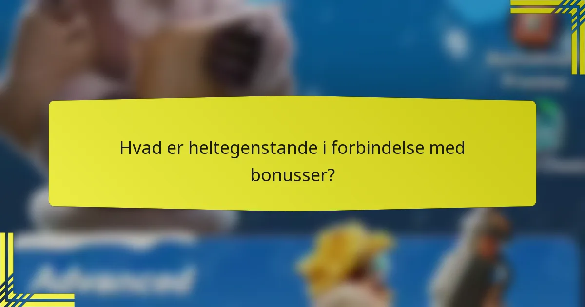 Hvad er heltegenstande i forbindelse med bonusser?