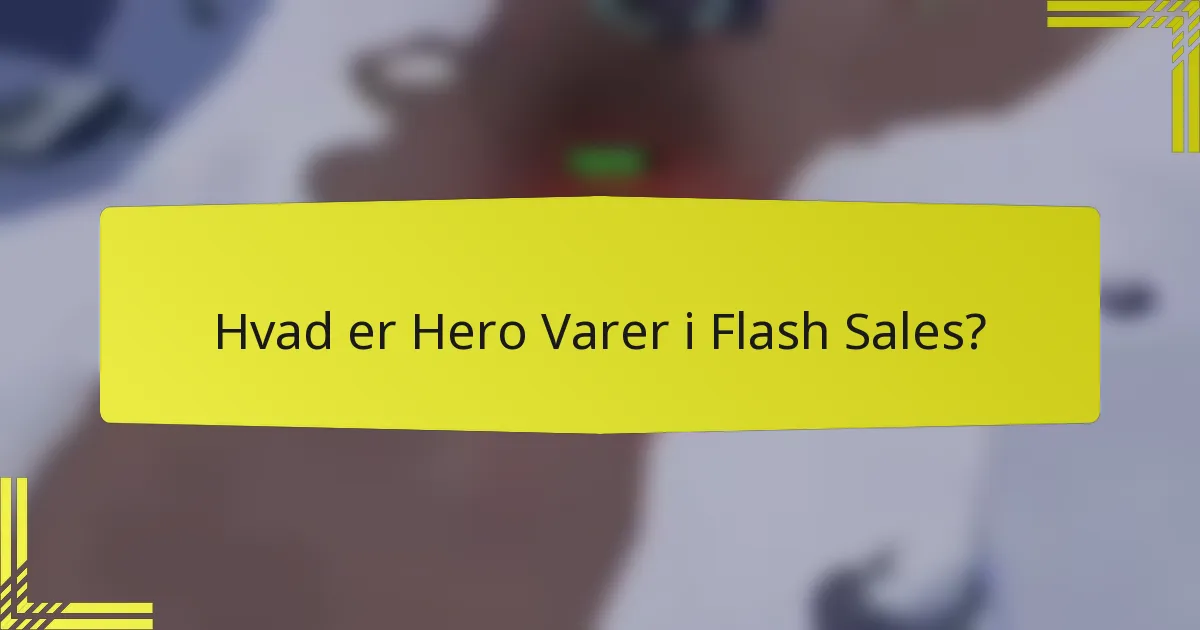 Hvad er Hero Varer i Flash Sales?